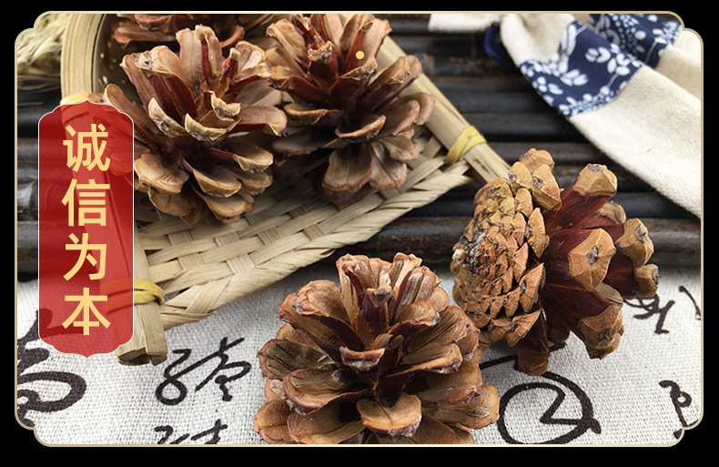 Dried Pine Cones Song Ta Loose Natural Cones 500g Sun Dried Decorative Craft and Herbal Use in use