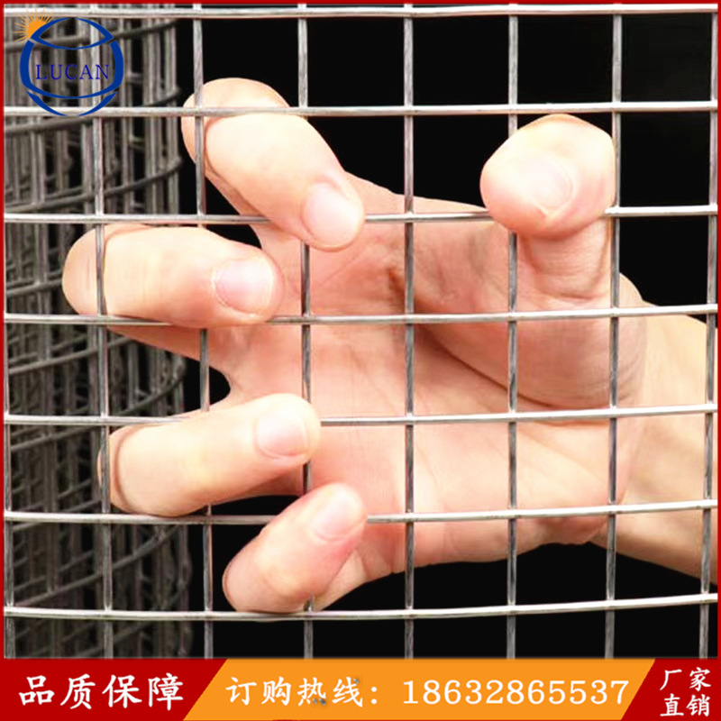 high quality Stainless steel Welded Wire Mesh Manufactor Direct selling 304 Building plastering net 201 Stainless steel welding breed Mesh