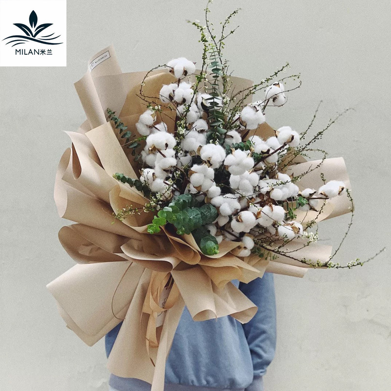 Flor seca algodón DIY kapok hecho a mano algodón flor permanente ramo de la cabeza de algodón material de embalaje Accesorios Al Por Mayor