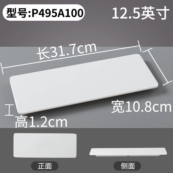 P495A100