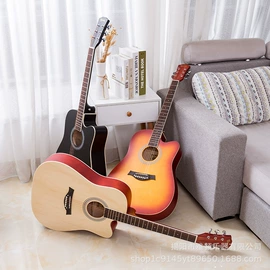 弹拨类乐器;乐器配件;乐器箱包