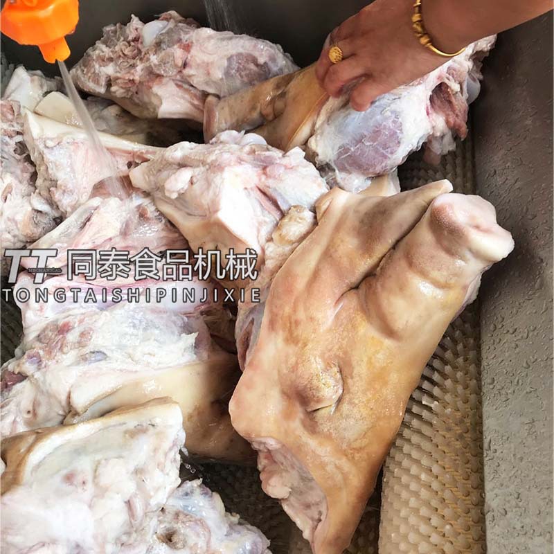 自动洗猪耳朵机器 猪蹄清洗机 猪头猪蹄去黑炭毛辊清洗机