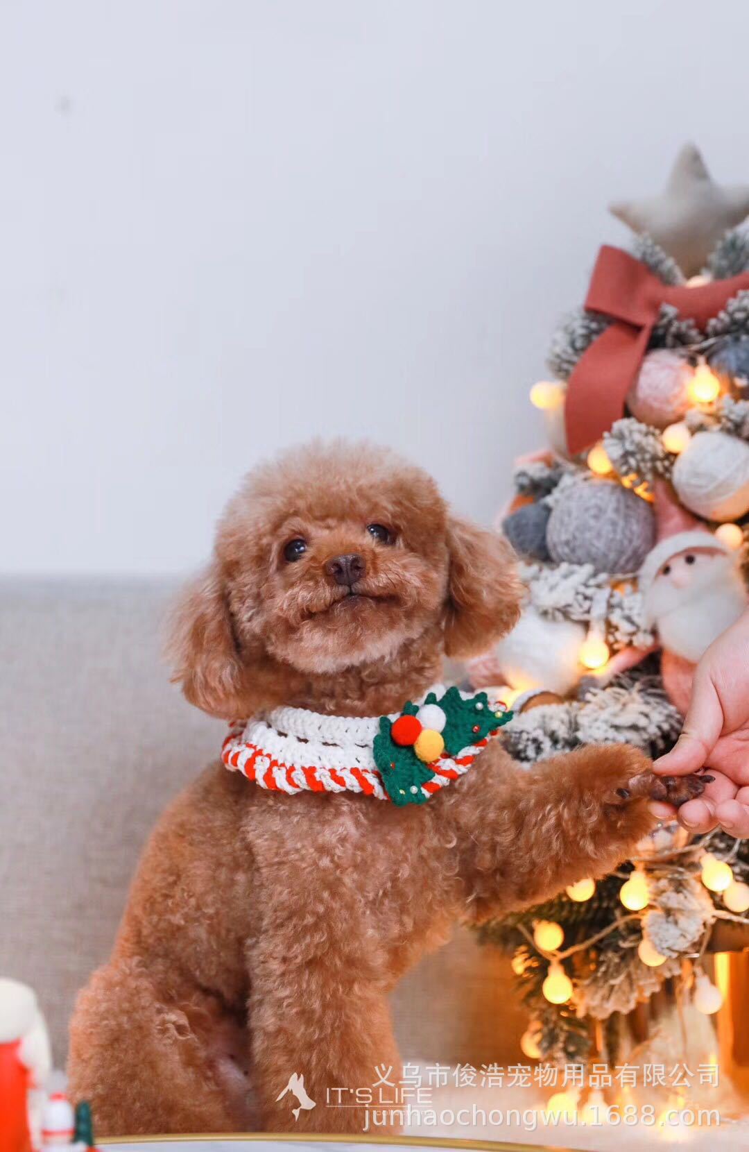 a9e0b1b7155e2eaaf0a26b6248294b