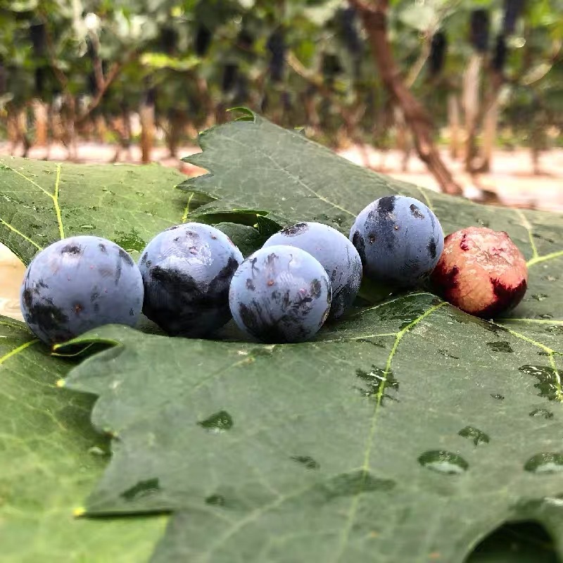 c91c762fa3020e0d078360e24a9005