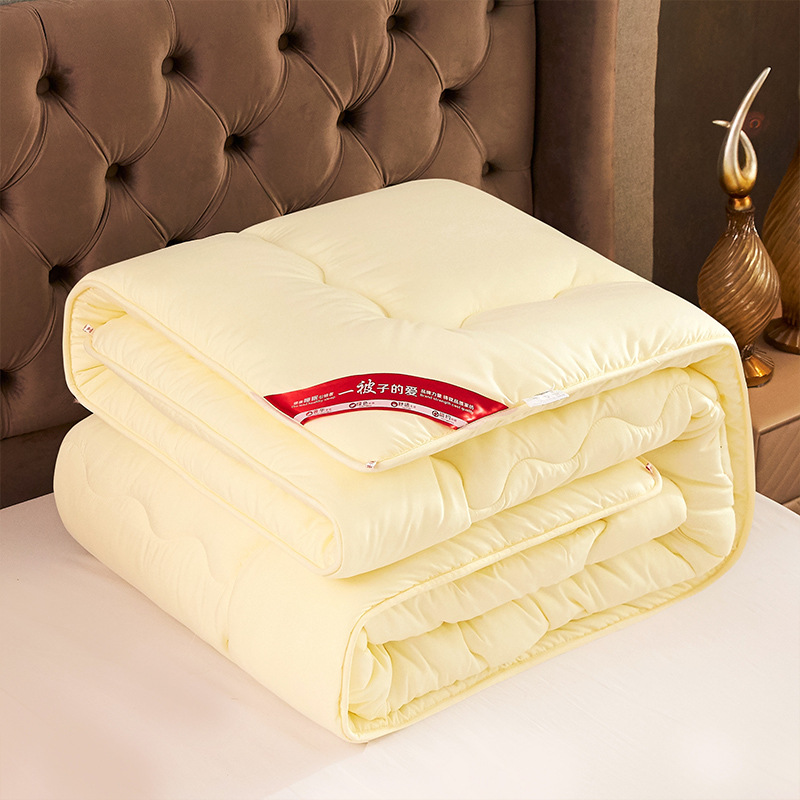 【送礼盒】加厚保暖礼品被子公司团购活动促销冬被芯厂家批发直销|ms
