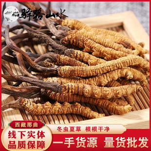 Cordyceps Sinensis Оптовая Qinghai -tibetan Cordyceps Тибетские cordyceps cordyceps sinensis, производимый непосредственно для чая Cordyceps для распределения внешней торговли