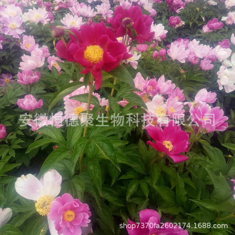 QQ图片20200222122128