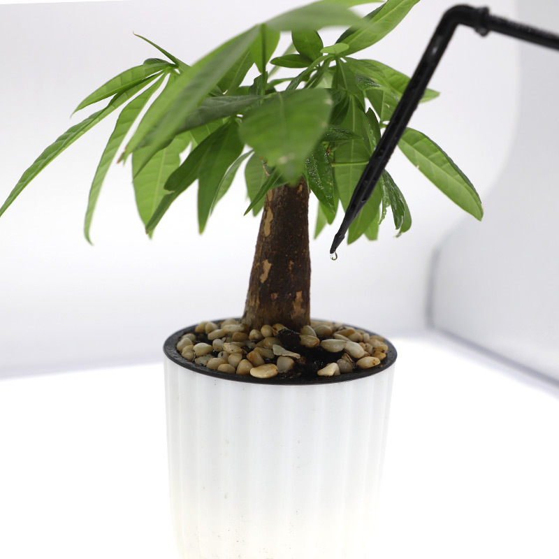 Inserción de micro-pulverización en el suelo, pulverización al por mayor, riego de árboles frutales verdes lejos, uso de micro-pulverización en el suelo sin impuestos.