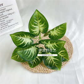 9头马蹄莲叶仿真植物插花植物墙装饰绿植盆景植物把束婚庆花