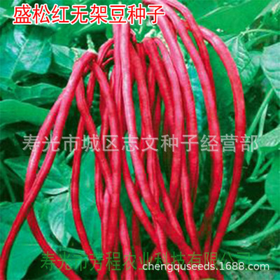 One kilogram gules Scaffolding Beans seed Cowpea seed No frame beans seed