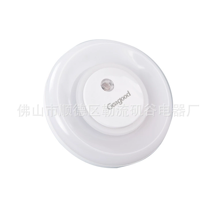 LED physiological induction night light for bedroom, lights for wardrobe, interior lighting, human sensor
