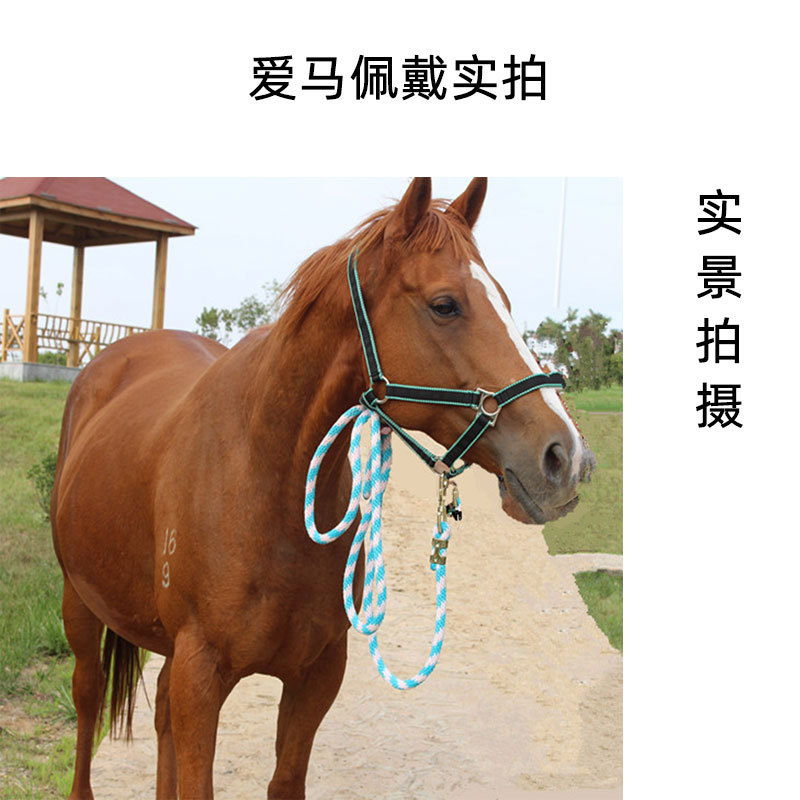 马术马具用品用品马匹装备纺织马笼头红蓝单色可选 支持定做-阿里巴巴