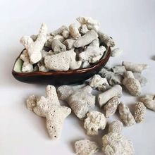 优质珊瑚沙厂家直供底砂碎珊瑚砂 鱼缸滤材用珊瑚骨水族过滤材料