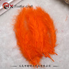 Spot balloon balloon filling Bobo built -in feathers color sharp tail feather turkey hair wholesale