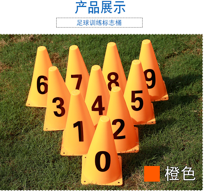 790_14.jpg