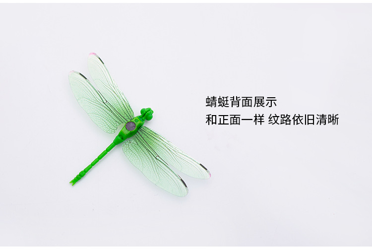 蜻蜓8公分_06