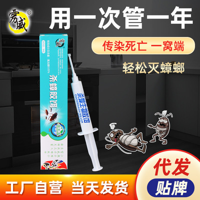 殺蟑螂膠餌家用壹窩端屋大小通殺滅蟑螂廚房強力貼克星壹件代發