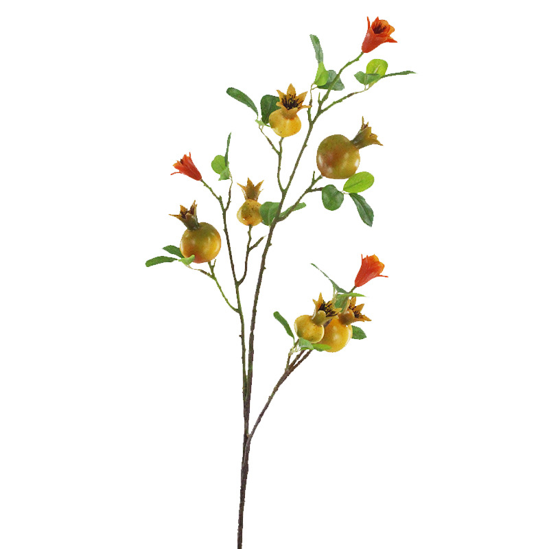 XRG-026 石榴果3叉枝1.03米.jpg