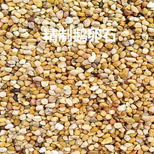 廣東廣州機制打磨篩選鵝卵石 魚缸底砂鵝卵石市場