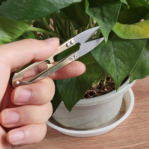 Succulent tool set combination plant and flower growing supplies gardening tool set succulent maintenance and planting succulent tools