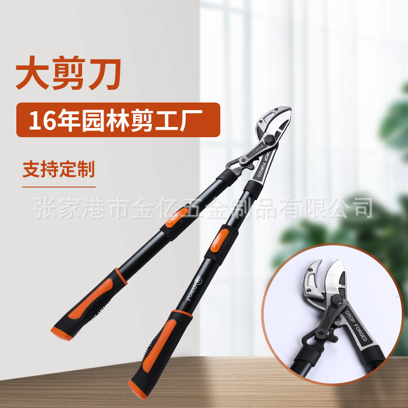 大花剪刀 园艺手修剪剪刀 植物修剪剪刀 本色剪枝剪 大剪刀