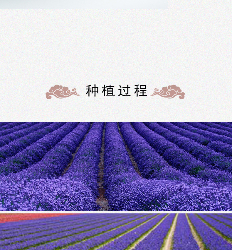 Forget-Me-Not Flower Tea Wu Wang Wo Dried Herbal Flowers Bulk 500g Yunnan preparation
