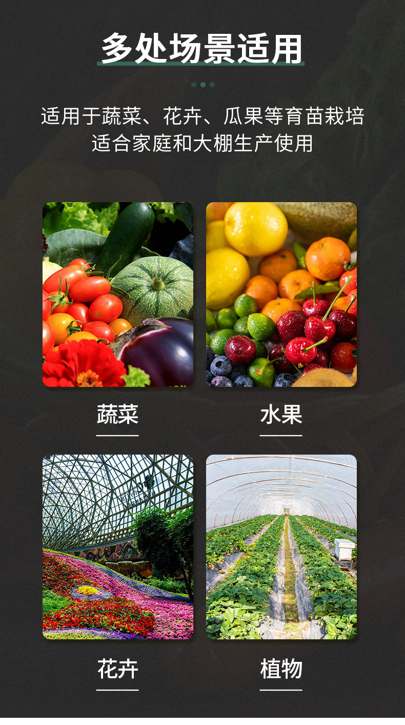 豆芽盘,育苗盘,芽菜盘,育苗穴盘,加厚育苗盘,72孔育苗盘,穴盘