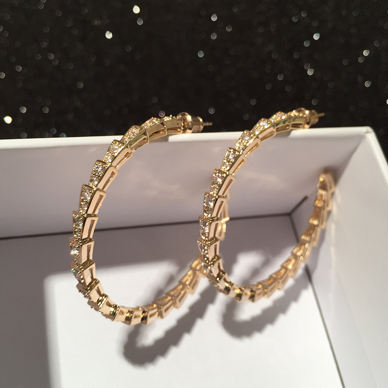 Snake-shaped Hoop Earrings Micro-inlay New S925 Silver Needle Hoop Earrings Wholesale Nihaojewelry display picture 6