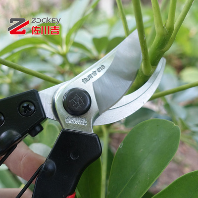 Taiwan Zuochuan Ji 818 gardens Pruning Fruiting branches cut gardening tool branch Fruit tree bonsai Pruning shears wholesale