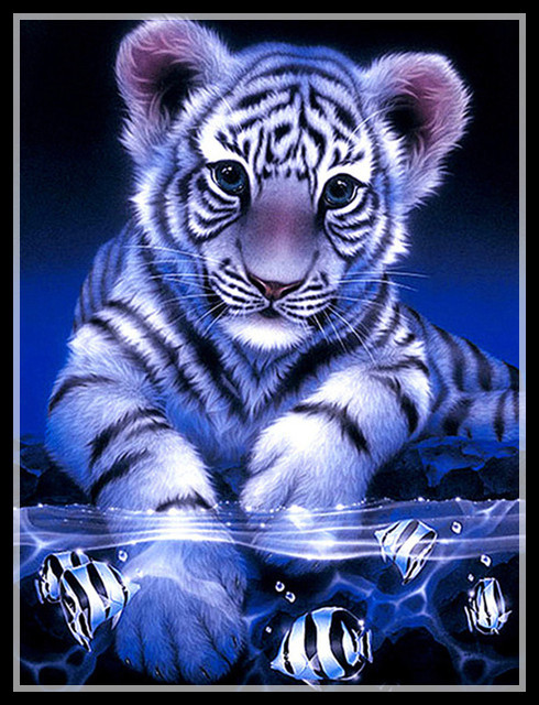 V516-30 * 40 전체 드릴