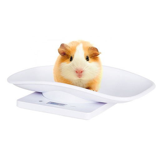 Cross-border pet electronic scale mini balance kitchen scale 10kg dog electronic tray pet scale