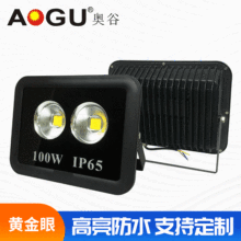 �����¿�LED�S����Ͷ��������ˮ�۹�V��������100W�a���