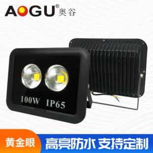 �����¿�LED�S����Ͷ��������ˮ�۹�V��������100W�a���