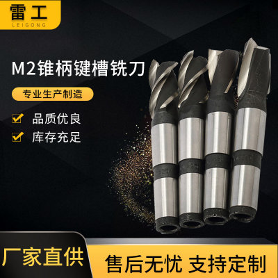 M2锥柄键槽铣刀 五金工具机床开槽刀具锥柄高速钢铣刀锥柄立铣刀|ms