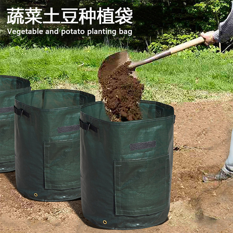 Description Picture 2 of itemPE Potato Growing Bag Potato Vegetable Plant Growing Bag Planting Bucket Beautiful Planting Bag 3/5/7/10 Gallon
