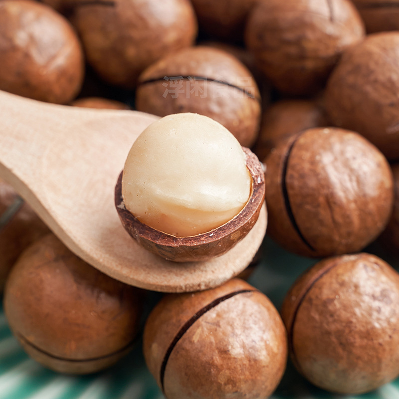 夏威夷果罐装500g大颗粒坚果零食送厂家直销开口器|ms