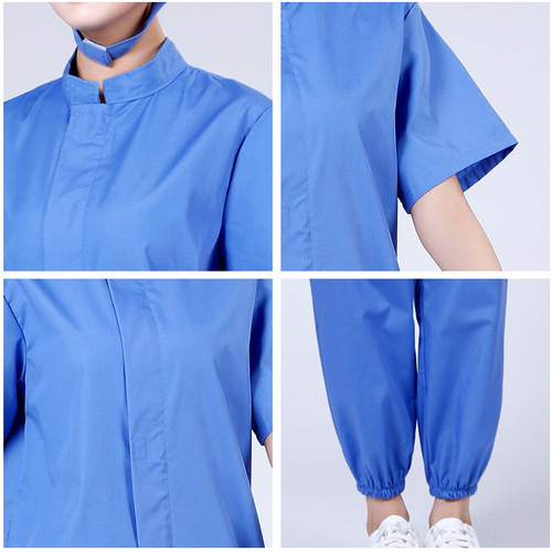 Thin food workshop workwear set summer short sleeve dust-proof suit tea factory pharmaceutical factory biological factory protective clothing wholesale
