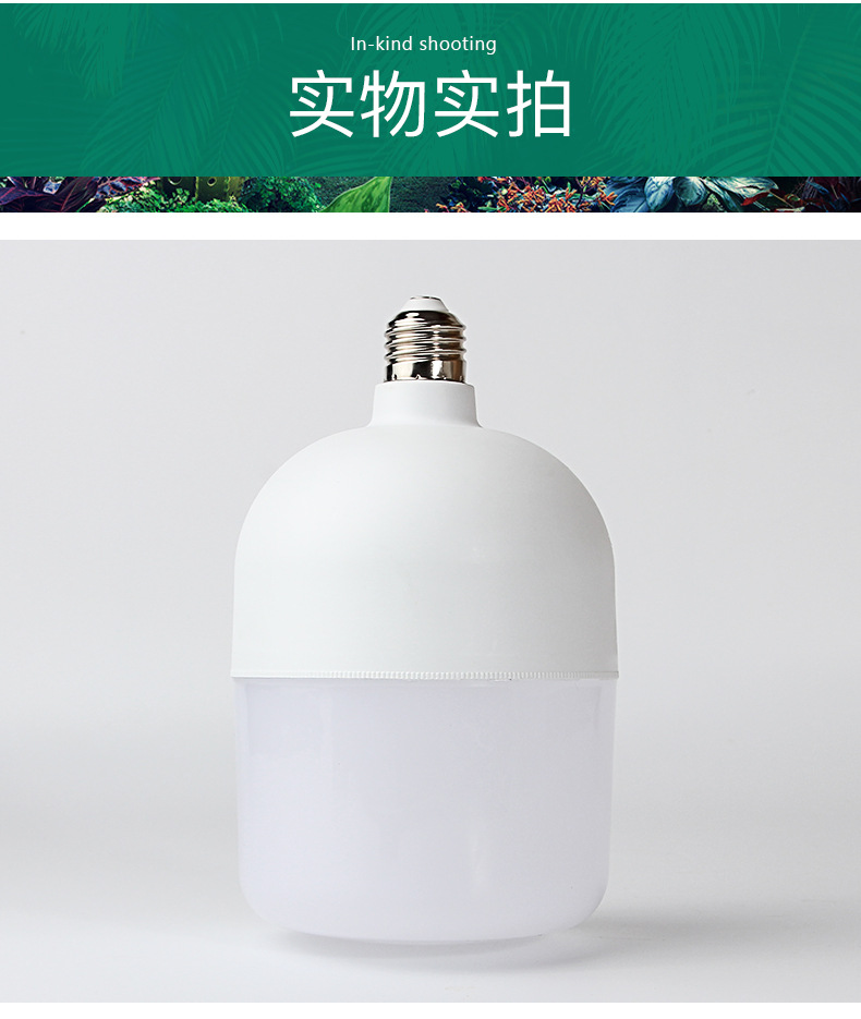 跨境led灯泡 高富帅球泡灯防虫 恒流白富美摄影灯具室内家用照明 pic 12