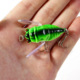 Fishing Lures for Bass, Lifelike Cicada Fishing Tackle Lures, Artificial Freshwater Swimming Bait