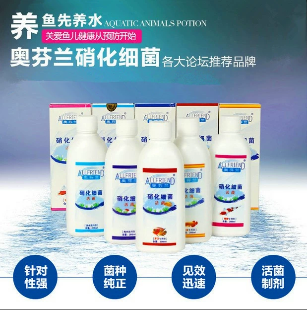 Специальное предложение нитрифицированные бактерии живые бактерии пресноводные морские специальные рыбы-Драконы общего назначения специальные нитрифицированные бактерии
