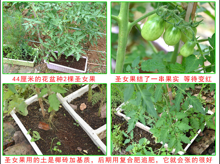 TB2CdiRaYxmpuFjSZJiXXXauVXa_!!