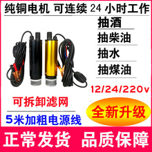 抽油泵柴油12V24伏220V抽水泵电动小型油抽子自吸泵抽油器加油机