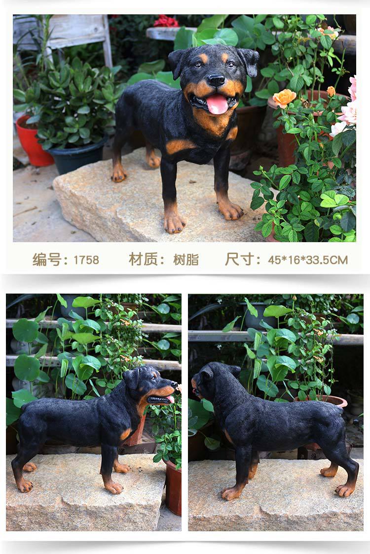 罗威纳犬_13.jpg