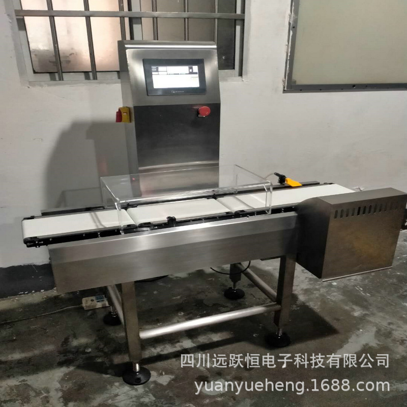 自动小型称重机 在线称重机 动态箱子专用称重电子秤