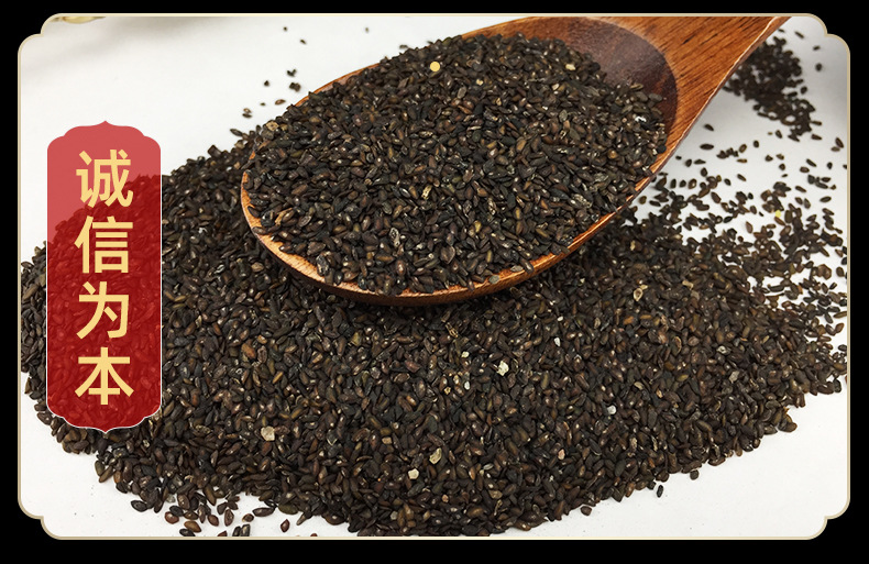 Dried Plantago Seed Che Qian Zi Bulk Raw Herb 500g New Crop Loose Seeds in use