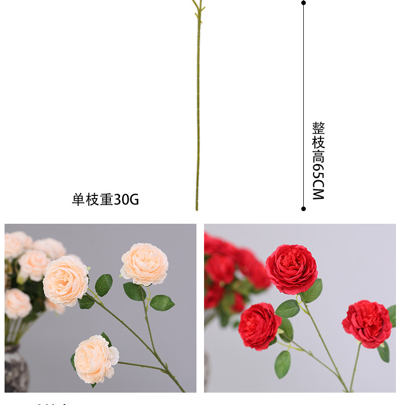 洋牡丹_04.jpg