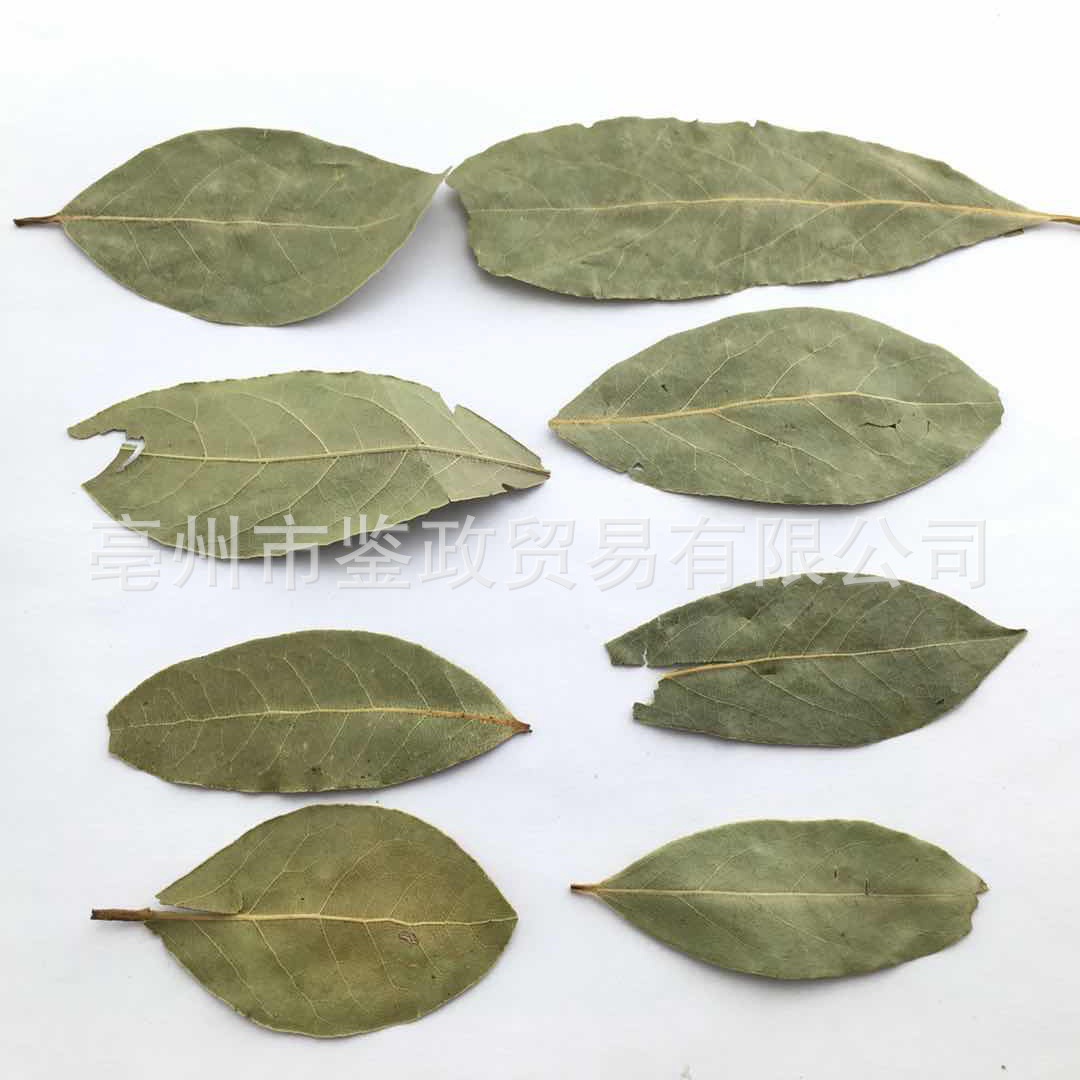 Dried Bay Leaves Xiang Ye 500g Aromatic Culinary Herb for Soups Stews and Hot Pot Seasoning key features