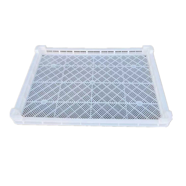 批发塑料单冻器 风干食品晾晒盘 海鲜产品冷冻盘 耐低温单冻器