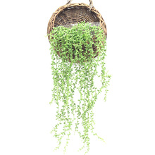 ���˜I����ڒ����ϒ��ټٻ��ٗl�Gֲ���l����ͨ����������b�