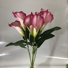 pu| Rɏ 7^ SֱN 滨 Ĕz